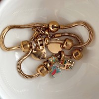 PANDORA ÇELİK BİLEKLİK