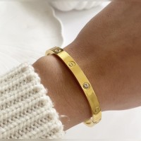 TAŞLI ÇELİK GOLD CARTİER