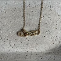 PUMA ÇELİK KOLYE